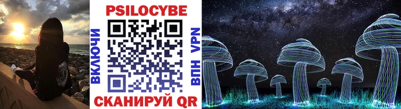сколько стоит  Покачи  Галлюциногенные грибы Psilocybe 