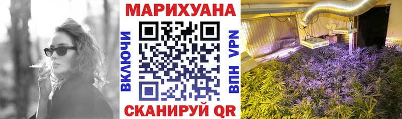 купить наркотики цена Покачи Бошки марихуана тримм